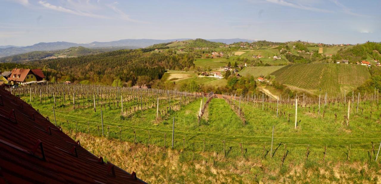 Ferienhaus Haring Kitzeck im Sausal Exteriér fotografie